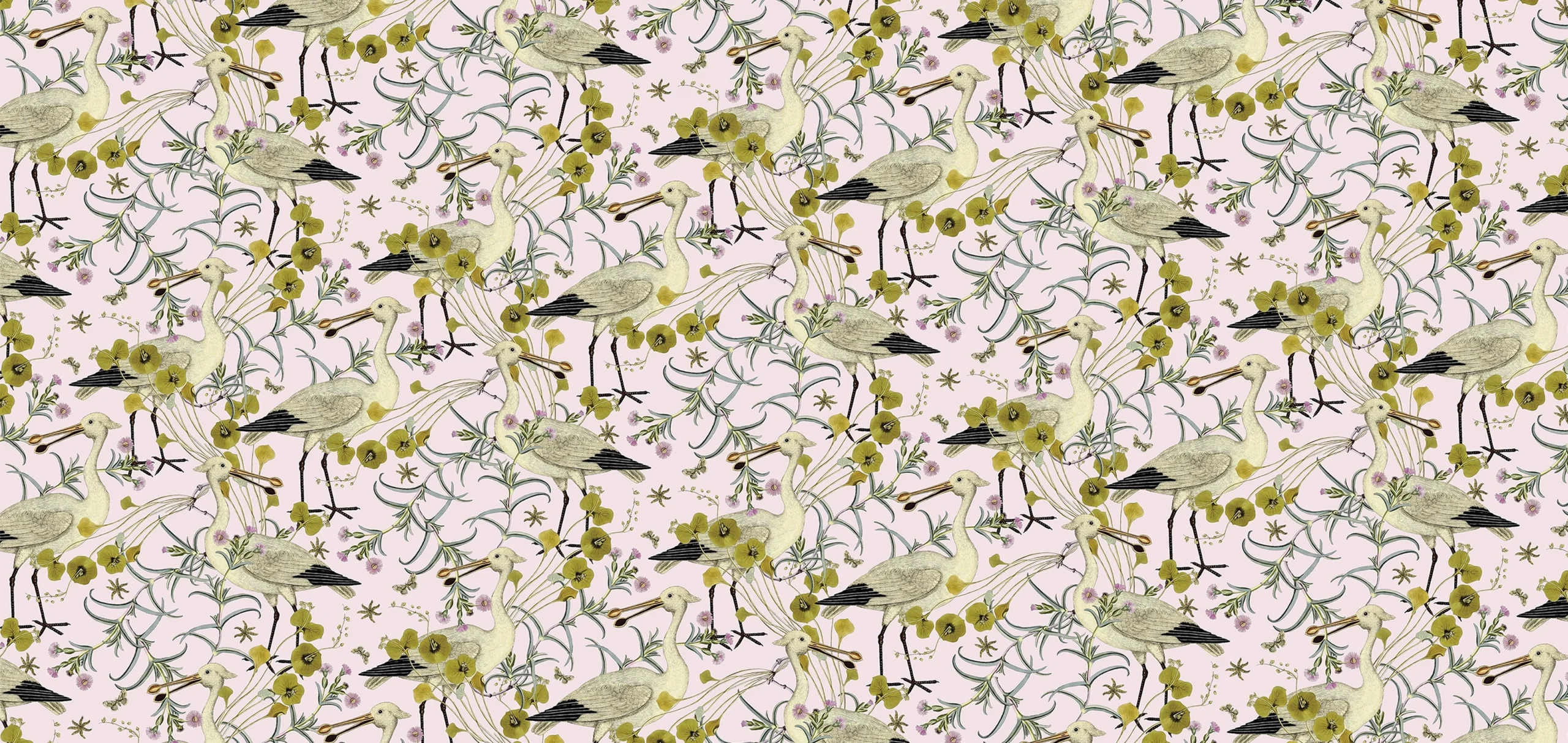 Ark Paper Studio Collection APS11 Ardeidae Heron with pink background print