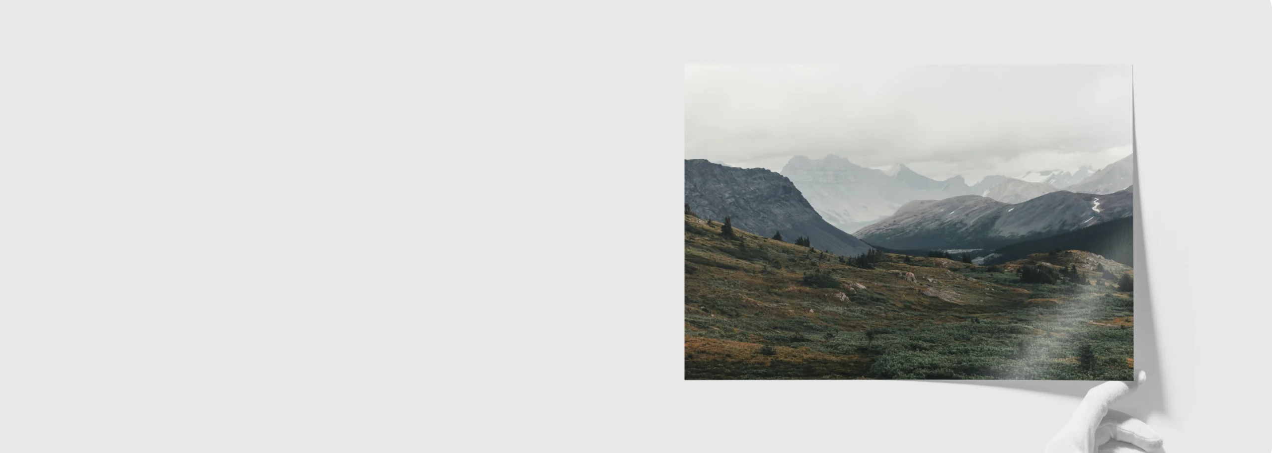 SAVE 20% ON TRUE FIBRE MATT PRINTS