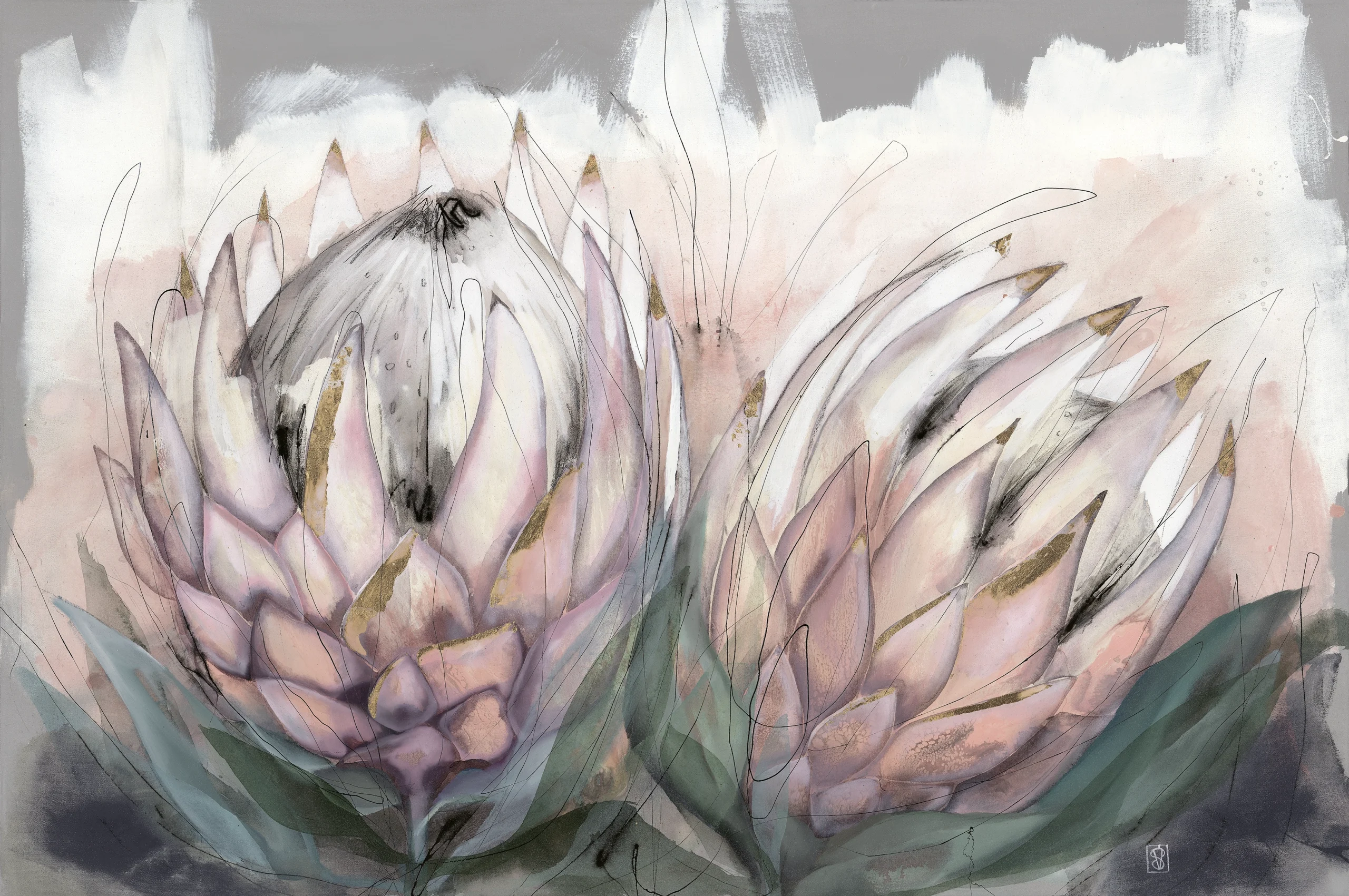 Vicky Sanders Collection VS05 Two proteas print, Orms Printroom